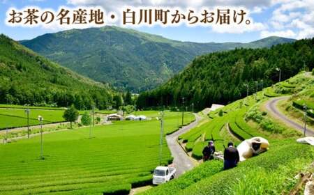 ますぶち園の上級白川茶 2種セット 詰め合わせ 100g×2本 缶入り お茶 白川茶 茶葉 ギフト 白川町 / ますぶち園[AWAC003]