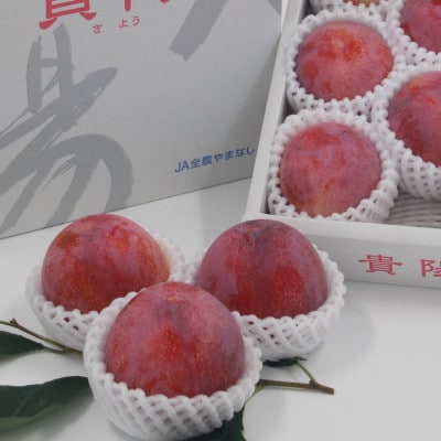 すもも『中玉貴陽』約1.5kg(7～10玉)【配送不可地域：離島】