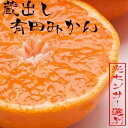 【ふるさと納税】＜1月より発送＞家庭用　蔵出みかん2.5kg+75g（傷み補償分）【有田の蔵出しみかん】【わけあり・訳あり】【光センサー選果】 | フルーツ 果物 くだもの 食品 人気 おすすめ 送料無料