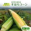 【ふるさと納税】トウモロコシ 岐阜 朝採りとうもろこし(すはらコーン)8本～12本 【美濃市】　美濃市　お届け：2024年6月下旬～2024年9月下旬