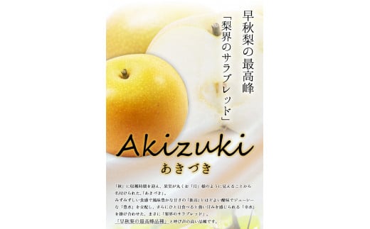 作村果樹園のあきづき梨 約3kg(5～6玉前後) 《8月下旬-10月中旬頃出荷》 熊本県氷川町産 作村果樹園---sh_csakuaki_h810_21_11000_3kg---