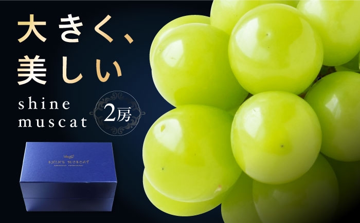 
                  シャインマスカット 2房 bloom leaf 【ブルームリーフ合同会社】 [BKBI001]／ シャインマスカット しゃいんますかっと シャイン マスカット ますかっと Shine Muscat 2房 葡萄 ブドウ ぶどう 旬 フルーツ ふるーつ fruit 果物 くだもの 果実 人気 愛媛県 愛媛県産 内子町産 国産 新鮮 贈答 贈り物 プレゼント 人気 おすすめ 送料無料
                