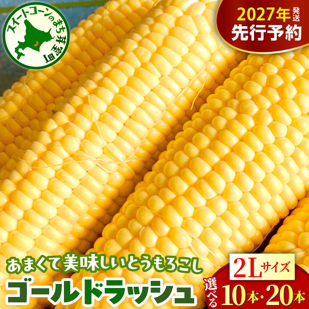 【ふるさと納税】【先行予約】 2027年産 とうもろこし 北海道産 ゴールドラッシュ 2L サイズ ( 選べる : 10本 / 20本 )【2027年8月上旬～8月下旬頃配送】 スイートコーン コーン 朝採り 産地直送 糖度 生 野菜 新鮮 BBQ 冷蔵 送料無料 お取り寄せ 北海道十勝 芽室町