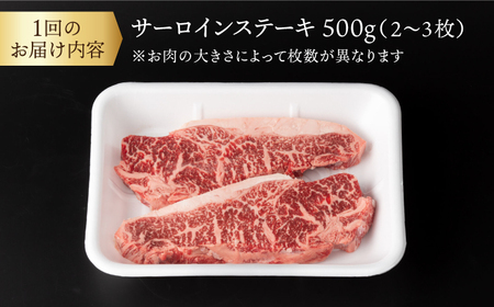 【3回定期便】【赤身本来のコクと旨味！】 九州産黒毛和牛 サーロインステーキ 500g（2～3枚） ＜宮本畜産＞[CFA031]