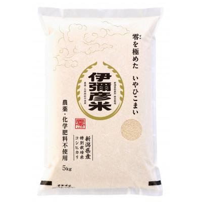 ふるさと納税 弥彦村 令和7年産「伊彌彦米 零(ぜろ)」玄米10kg(5kg×2袋) 農薬・化学肥料不使用 新潟県 弥彦村