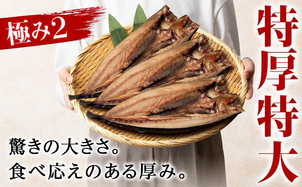 究極の干物専門店が作る至高の極干 特大とろさば 3枚