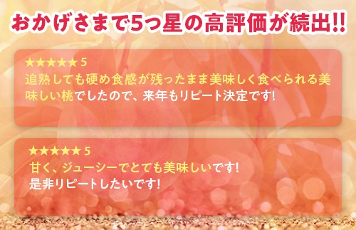 透過式光センサーまどか桃 特秀3kg相当 9玉～11玉＜ ふくしま未来農業協同組合 ＞ | ふくしま 桃 福島 もも 国見 モモ ※2025年8月上旬～8月中旬頃に順次発送予定 ※沖縄・離島への配送不可