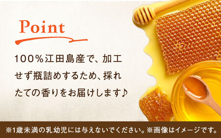 【全3回定期便】まじりっけなし！江田島産100％!はちみつ『沖美の輝き』120g×6本セット ハチミツ ハニー 蜂蜜 国産 広島県 江田島市/はつはな果蜂園[XCD021]