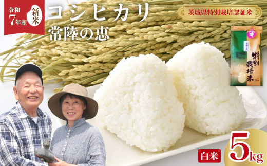 【令和7年産 新米 】特別栽培認証米 こしひかり 常陸の恵 白米 ５kg | 特別栽培認証米 コシヒカリ GAP認証 森 ミネラル 水 山田川 安全 安心 美味しい 米 人気 自然栽培 つやつや もっちり 茨城県 常陸太田市