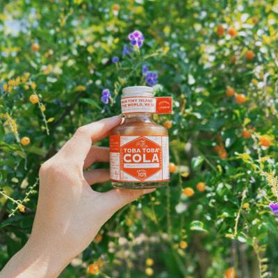 ふるさと納税 喜界町 島仕込みクラフトコーラシロップ TOBA TOBA COLA(115g×3本セット)
