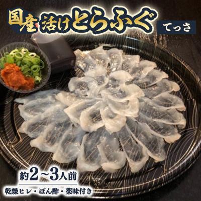 ふるさと納税 富田林市 【冷蔵】国産活けとらふぐてっさ・ひれセット　約2〜3人前　ヒレ酒も楽しめます!【配送不可エリア注意】