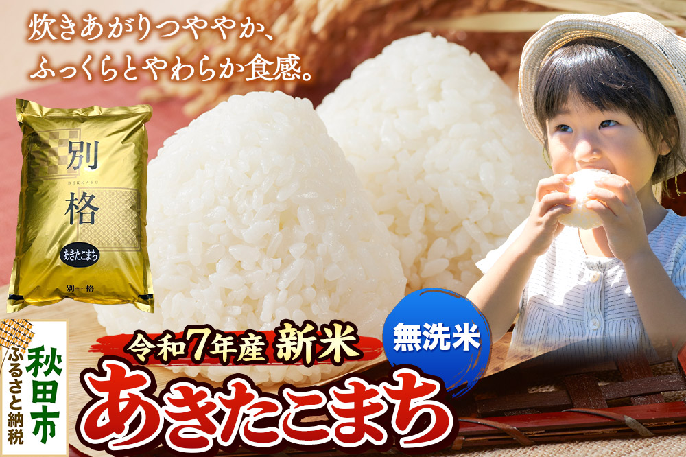 《令和7年産 新米》 米 あきたこまち 30kg（5kg×6袋） 【無洗米】 秋田県産