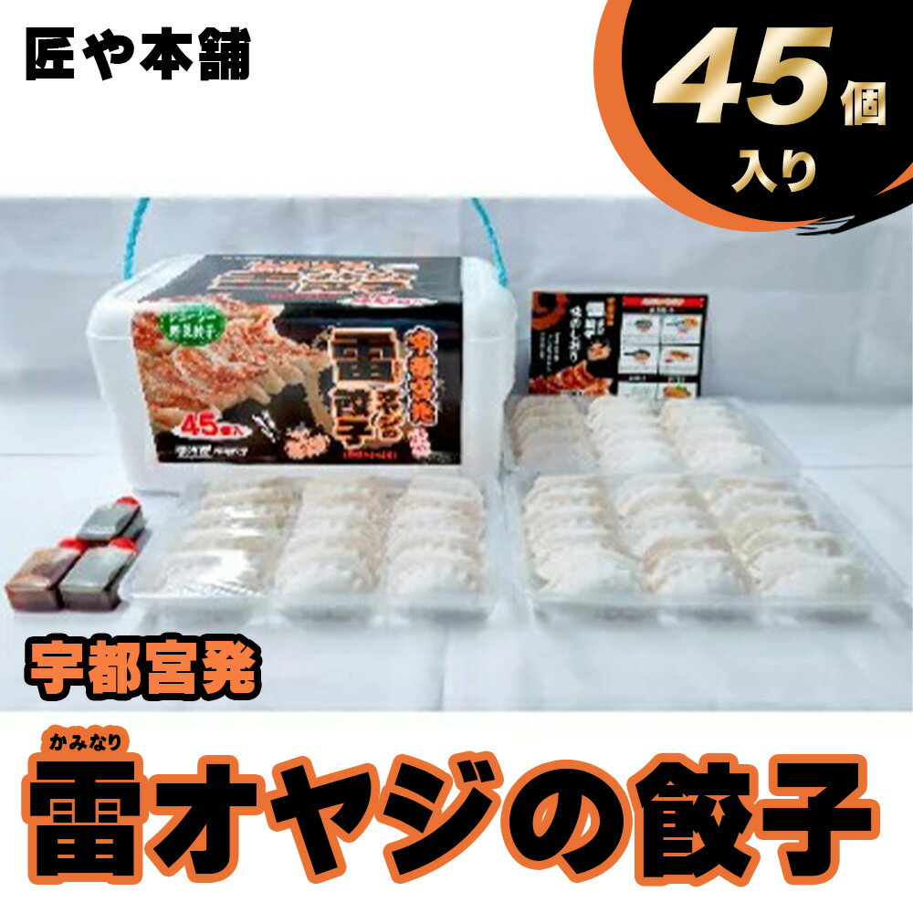 【ふるさと納税】宇都宮発 雷オヤジの餃子 45個入 (冷凍) 【 餃子 冷凍 ぎょうざ 栃木県 宇都宮市 】※離島への配送不可