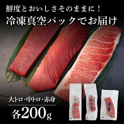 ふるさと納税 土佐市 本鮪　大トロ・中トロ・赤身　各200g　まぐろ3種盛セット |  | 03