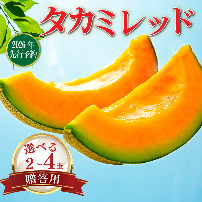 【ふるさと納税】《2026年 先行予約》 贈答用 貴味レッド 赤肉 2玉 / 4玉 めろん 貴味 メロン 甘いメロン デザート ジューシ 美味しい おいしい 糖度 甘い あまい おすすめ 高級 人気 旬 果物 くだもの フルーツ 贈り物 ギフト プレゼント 千葉県 旭市 たかの果樹園