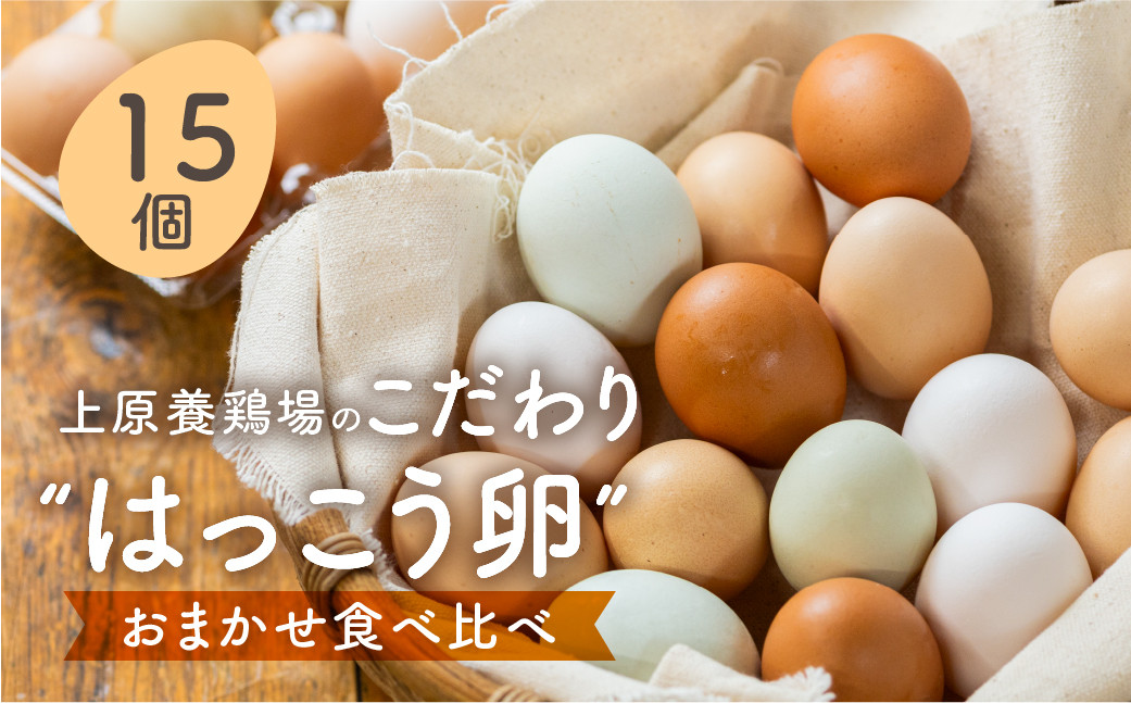 
上原養鶏場のはっこう卵　3～4種おまかせ食べ比べ 15個+破卵保障3個
