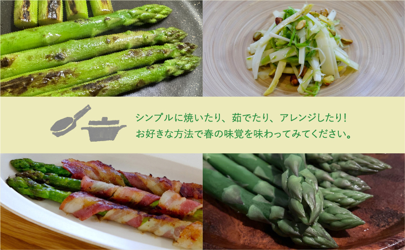 先行予約 【 2026年 発送 ！】北海道 上富良野産 露地 グリーン アスパラガス L,Mサイズ 1.8kg アスパラ グリーンアスパラ 上富良野町 令和7年発送 野菜 やさい 