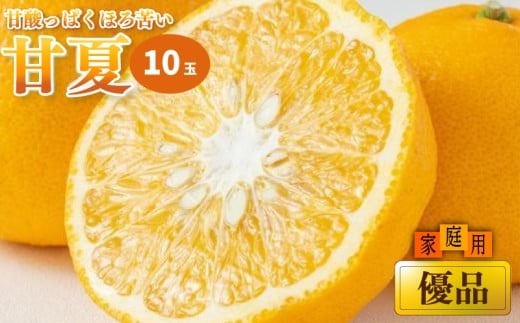【2026年3月上旬から発送予定】甘夏 家庭用(優品) 10玉 （ 愛媛産 愛媛県産 国産 愛媛みかん 愛媛蜜柑 愛媛ミカン みかん ミカン mikan 蜜柑 柑橘 フルーツ 果物 くだもの お取り寄せ 産地直送 数量限定 人気 おすすめ 愛媛県 松山市 送料無料 ）