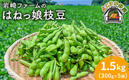 【先行予約】【数量限定】はねっ娘枝豆 1.5kg（300g×5袋）枝豆 枝豆 枝豆 枝豆 枝豆 枝豆 [AKCZ001]