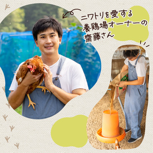 こだわり たまご 30個 (10個×3パック) 新鮮 平飼い 卵 ﾀﾏｺﾞ