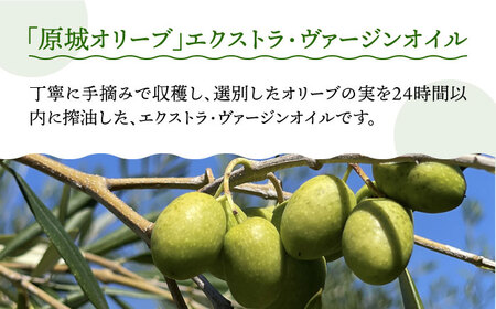 【2024年11月〜発送】【12回定期便】原城オリーブ エクストラヴァージン オイル 100ml 2本 / 調味料 油 オリーブオイル オリーブ / 南島原市 / ミナサポ[SCW051]