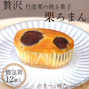 丹波銘菓物語 栗ろまん  洋菓子館ベルジェノア 菓子