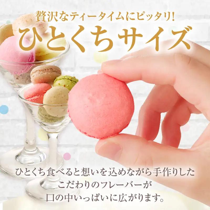 マカロン20個入（20種類）_26-346