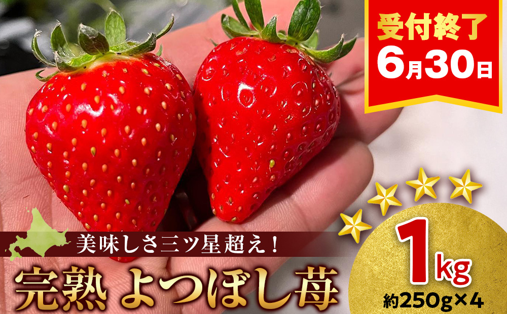 【2026年3月下旬以降発送】北海道産 完熟よつぼし苺(約250g×4パック)