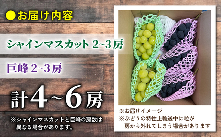 【おがわら農園】家庭用欲張りセット！（シャインマスカット2房・種無し巨峰2~3房）約1.8~2kg