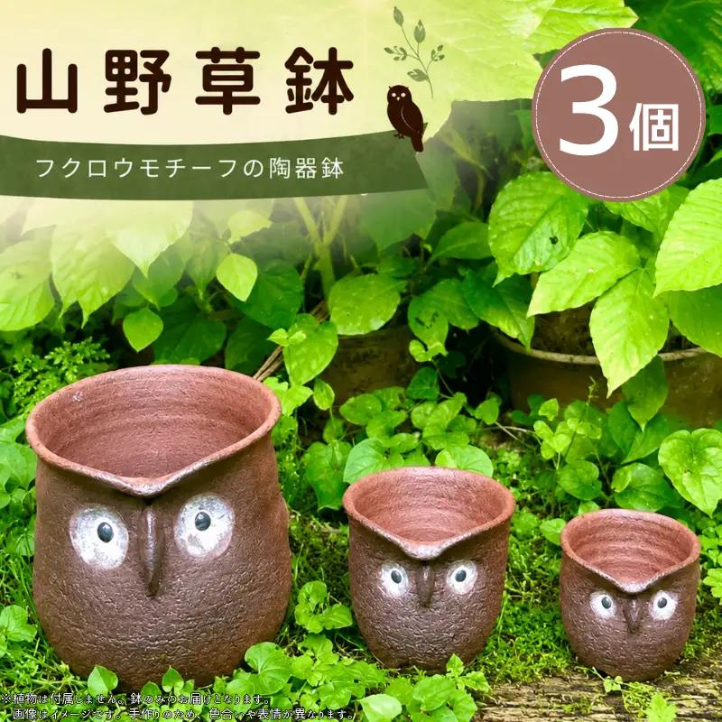 陶器 3セット 山野草鉢 フクロウモチーフ