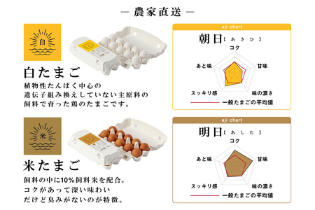 【9ヵ月定期便】ココテラスの紅白たまご　15個 + 5個保証（計20個）【JGAP認証】 農家直送 新鮮 卵 タマゴ 赤卵 白卵 玉子 鶏卵 朝食 夕食 夜食 朝ごはん たまご焼き だし巻き卵 オムレ
