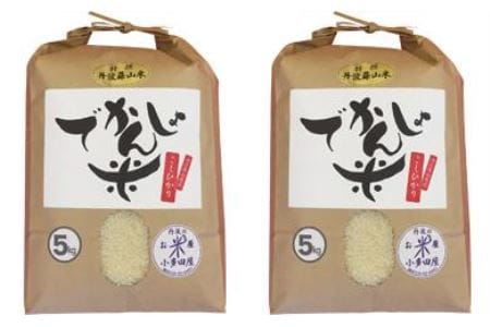 お米のおいしさ伝えたい！丹波篠山産コシヒカリ5kg×2 AD17