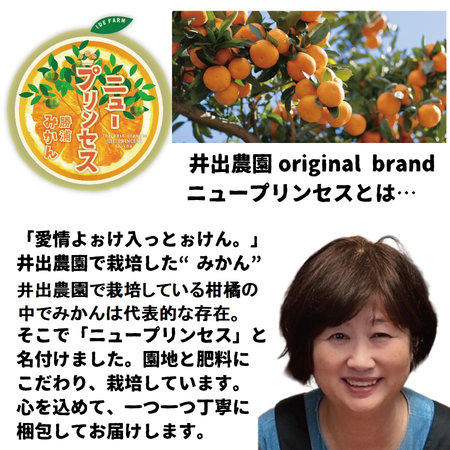 井出農園 贈答用 熟成みかん 秀品 S-Mサイズ 7kg