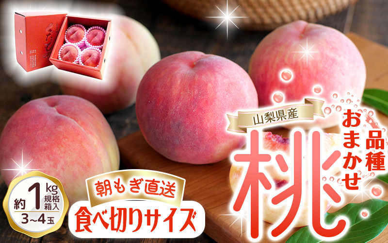 朝もぎ直送!『品種おまかせ桃』３～４玉 約1kg規格箱入り 【高機能共選機使用】選び抜かれた山梨の桃《もも 先行予約》山梨県産　モモ/ フルーツ 果物 くだもの 人気 産地直送/厳選  贈答 贈り物【