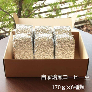 【挽き方：中細挽き】お家でカフェ♪アメリカンスペシャリティ認定豆170ｇ×6袋