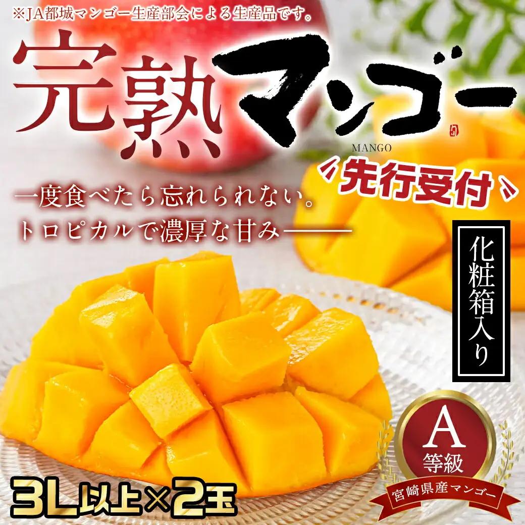 【先行受付!】宮崎県産完熟マンゴー(A等級) 【3L以上×2玉】化粧箱入り≪2026年5月中旬以降順次お届け≫〔AE-0112〕