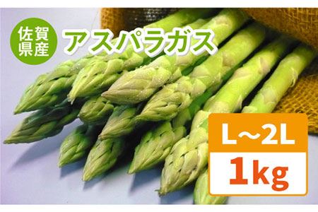 先行予約！受付は3/10まで！【26年3月中順次発送】アスパラガス 春芽 1kg（〇Lサイズ）吉野ケ里町/JAさが グリーンアスパラ 旬 新鮮 野菜 冷蔵  生野菜 [FBE017]