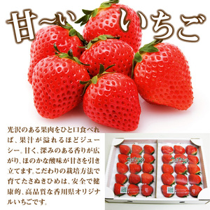 【ふるさと納税】【先行予約】【配送不可地域:北海道・沖縄県・離島】 香川県オリジナルいちご 「さぬきひめ」 400g 化粧箱×2箱  秋 旬