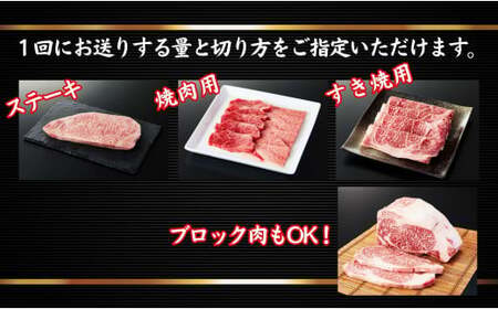人気のブランド和牛　米沢牛「贅沢」セット（冷蔵便）サーロイン・ヒレ肉合計12.5kg