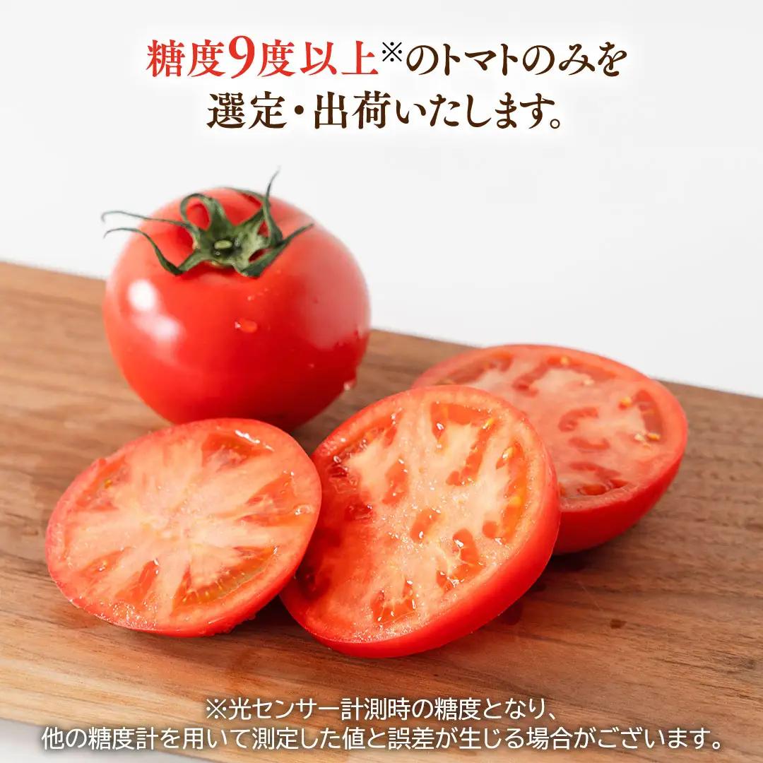 《 2027年 収穫分 》2～6月配送 スーパーフルーツトマト てるて姫 小箱 約800g × 1箱 【7～13玉/1箱】 糖度9度以上 先行予約 フルーツトマト ブランドトマト 野菜 ギフト 贈答 
