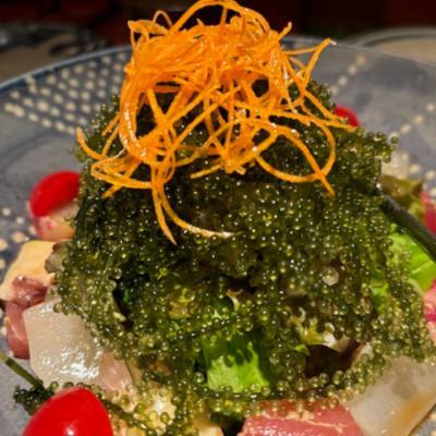 ふるさと納税 伊平屋村 ぷちぷち濃厚 伊平屋の「生」海ぶどう 100g×3パック |  | 03