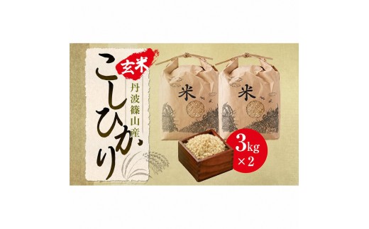 【令和8年産早期予約】丹波篠山産こしひかり《玄米》3kg×2 兵庫県 丹波篠山市 げんまい 100％単一原料米 産地直送米 おいしい お米 コシヒカリ ブランド おこめ 健康 送料無料 おすすめ 人気 口コミ