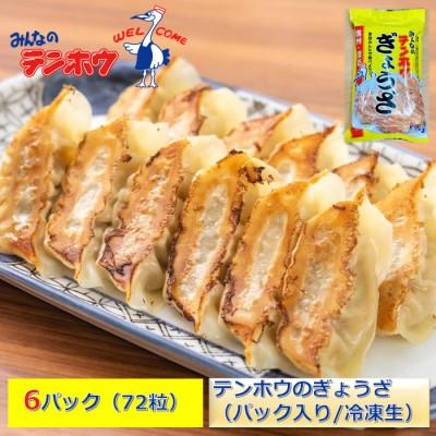 ふるさと納税 諏訪市 テンホウのぎょうざ12粒入り6パック[冷凍]