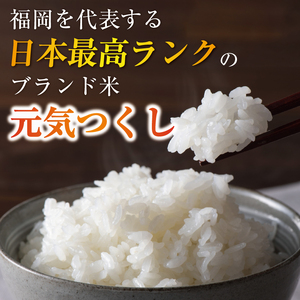 【ふるさと納税】令和8年産 福岡県産 ブランド米「元気つくし」無洗米 10kg [a7258] 株式会社 ゼロプラス 【返礼品】添田町 ふるさと納税