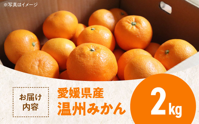 【11月中旬より順次発送】瀬戸内のめぐみたっぷり！温州みかん（S~Lサイズ）2kg　愛媛県大洲市/沢井青果有限会社 [AGBN046]  温州みかん みかん 果物 ミカン フルーツ