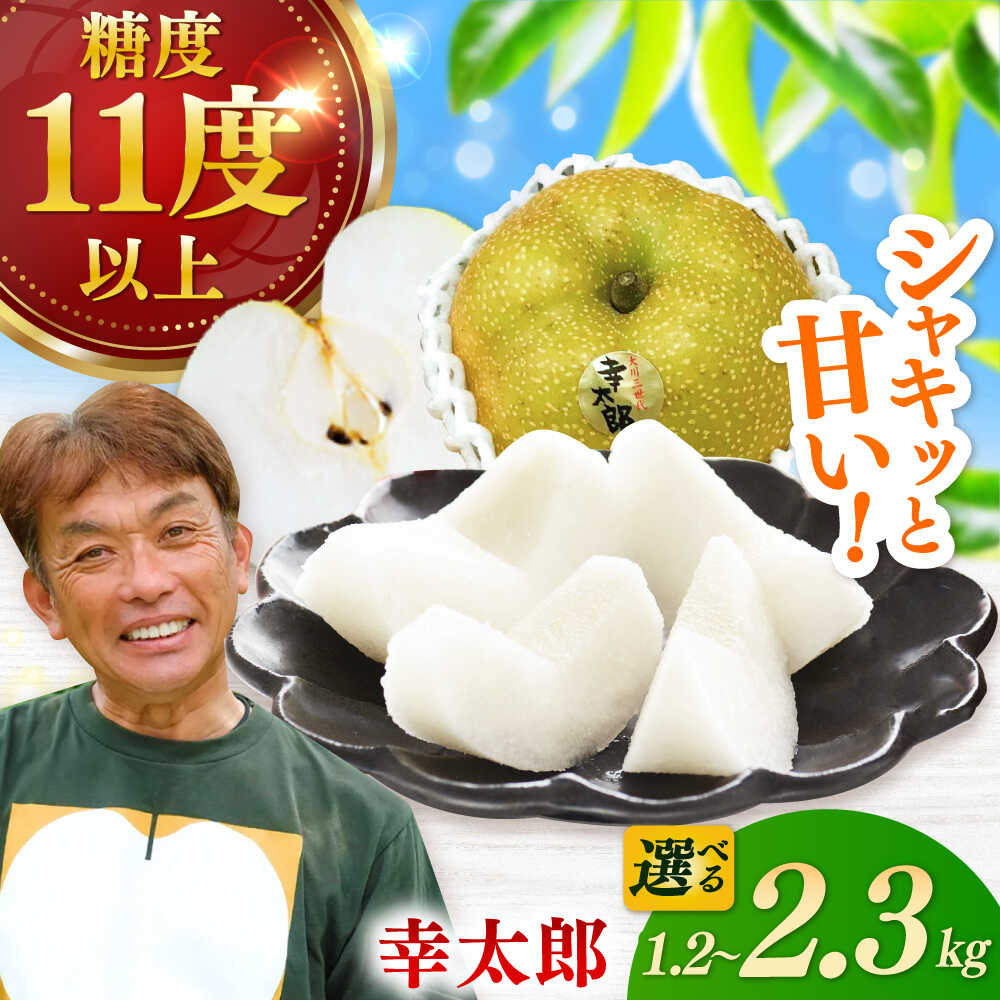 【ふるさと納税】【2026年発送分 先行予約】【選べる内容量】【化粧箱入り】幸太郎（幸水）3-6個入 / 梨 伊万里梨 なし / 佐賀県 / 大川三世代 [41AEAB003]