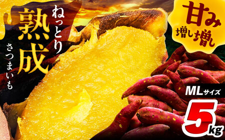 さつまいも 5㎏ / 焼き芋 焼きいも 紅はるか シルクスイート あまはづき 野菜 愛西市 / 川口農園[AEDH001]