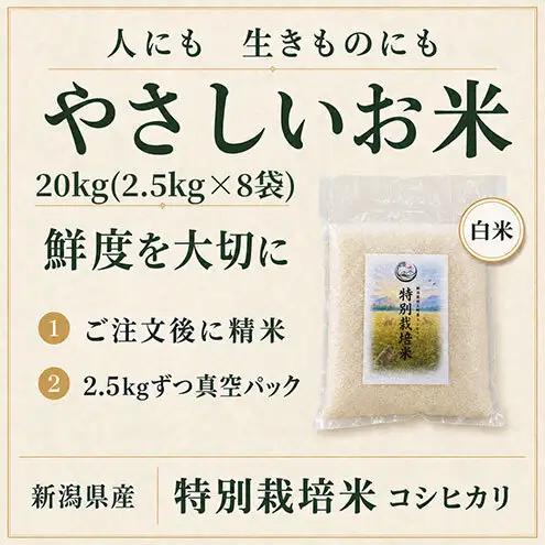 【先行予約】令和8年産 特別栽培米コシヒカリ 20kg新潟県田上町