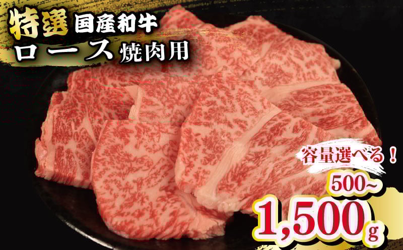 
            牛肉 特選 ロース 焼肉用 500g 1kg 1.5kg えらべる容量 焼肉 国産和牛 和牛 焼き肉 赤身 にく ぎゅう うし バーベキュー BBQ やきにく お祝い イベント パーティー おかず おつまみ 贈答 プレゼント 徳島県 吉野川市
          