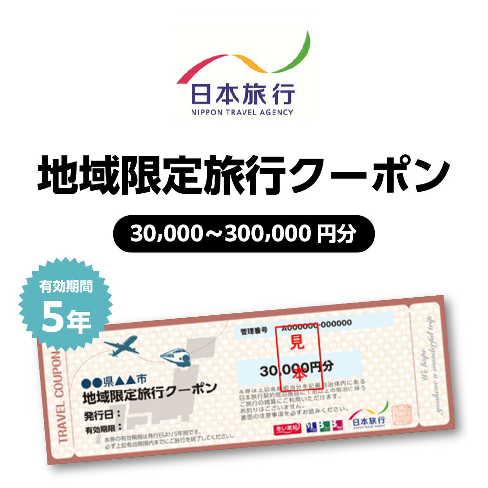 【ふるさと納税】大阪市 日本旅行 地域限定旅行クーポン 大阪府 宿泊 交通費 観光 体験 旅行券 有効期間5年 1泊以上 宿泊費 現地 旅行 大阪 ふるさと納税 万博 クーポン 送料無料